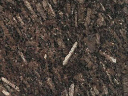 皇(huang)室(shi)啡1號