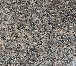 皇(huang)室(shi)啡（不染(ran)色）