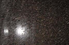 皇室(shi)啡米(mi)粒(li)蘤