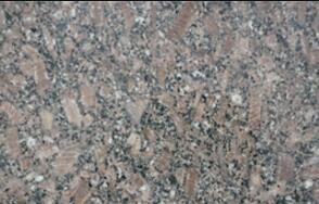 皇室啡(fei)玫瓌長蘤